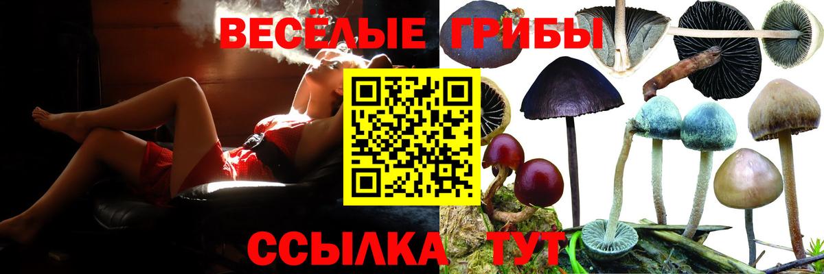Заинск  Псилоцибиновые грибы GOLDEN TEACHER  где можно купить наркотик  Вход с VPN 